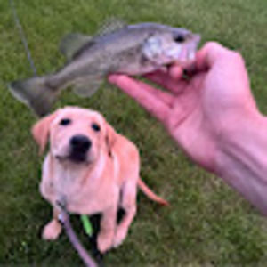 Meet your Posher, Garrett